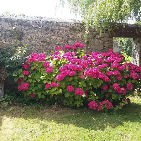 - Ferme De Beauvais 4* Sainte-Mère-Église